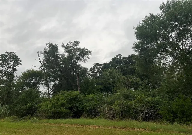 Homes for sale in Hempstead, TX | 1415 25Th Street, Hempstead, TX 77445 | MLS# 67985006
