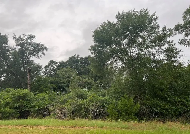 Homes for sale in Hempstead, TX | 1415 25Th Street, Hempstead, TX 77445 | MLS# 67985006