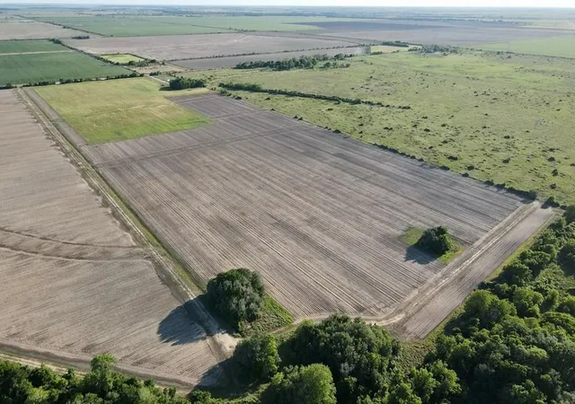 3rd image of 0 Cr 343 Rd, Blessing, TX 77419 | MLS# 78165005