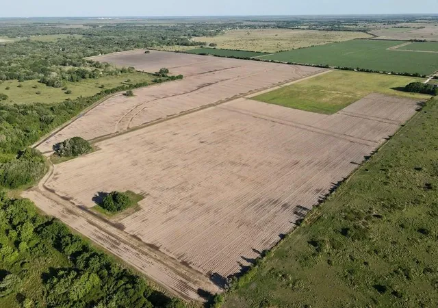 4th image of 0 Cr 343 Rd, Blessing, TX 77419 | MLS# 78165005