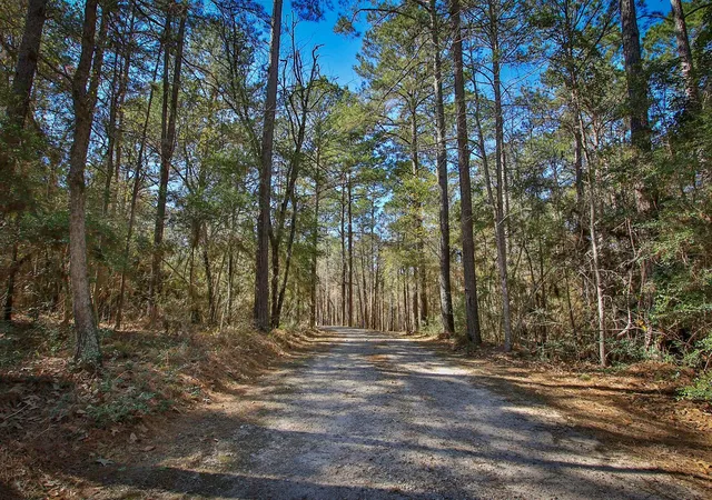 Photo 1 of Land for sale at 1142 Fletcher, Anderson, TX 77830 | MLS# 12364160 | Listing updated on 2026-08-14
