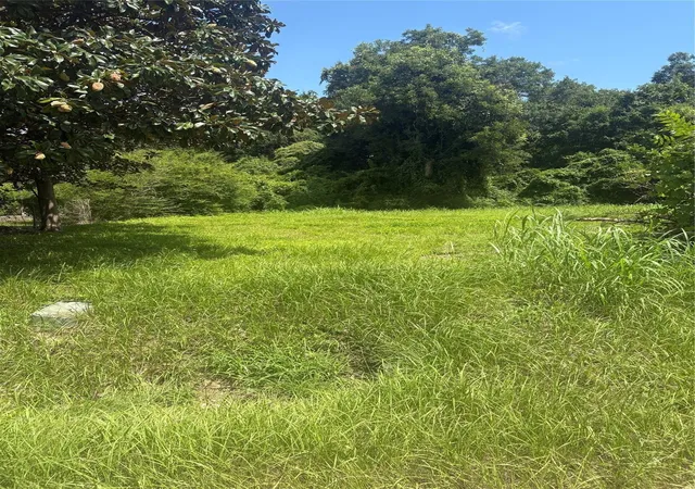 Photo 1 of Land for sale at 225 E Delaware St, Beaumont, TX 77703 | MLS# 48470051 | Listing updated on 2026-06-30