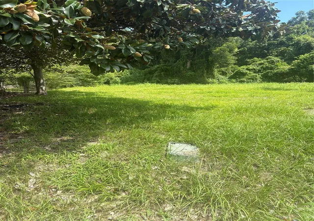 Photo 2 of Land for sale at 225 E Delaware St, Beaumont, TX 77703 | MLS# 48470051 | Listing updated on 2026-06-30
