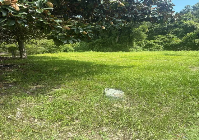 Photo 3 of Land for sale at 225 E Delaware St, Beaumont, TX 77703 | MLS# 48470051 | Listing updated on 2026-06-30