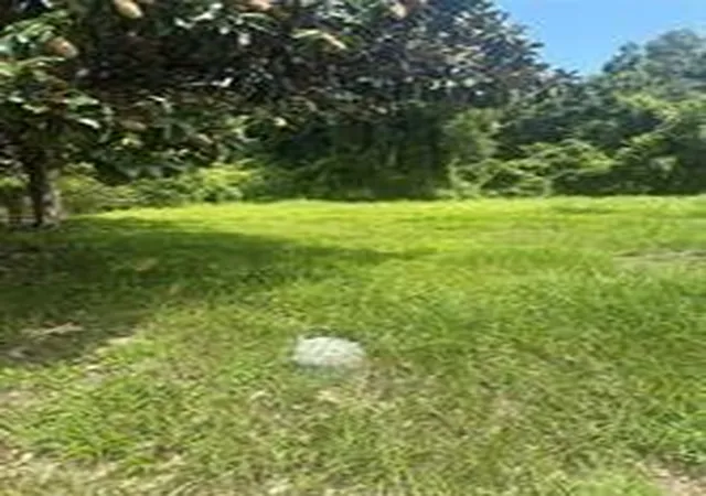 Photo 3 of Land for sale at 225 E Delaware St, Beaumont, TX 77703 | MLS# 48470051 | Listing updated on 2026-06-30