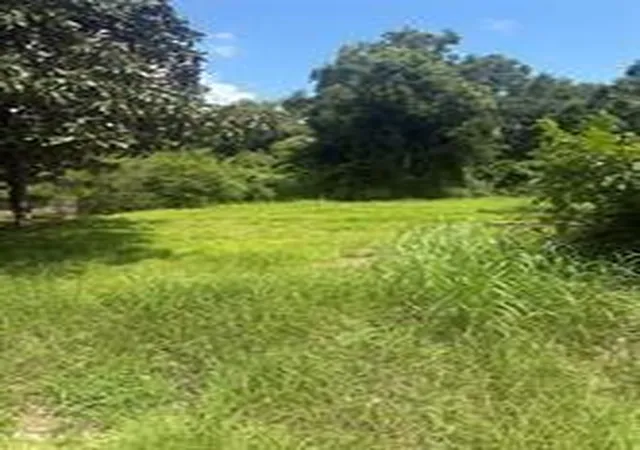 Photo 4 of Land for sale at 225 E Delaware St, Beaumont, TX 77703 | MLS# 48470051 | Listing updated on 2026-06-30