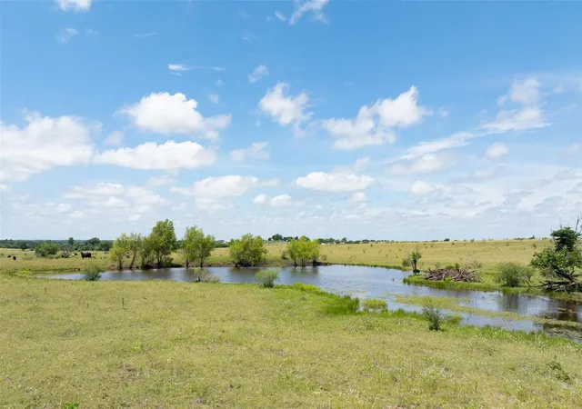 2nd image of 5661 Chadwick Hogan Rd, Chappell Hill, TX 77426 | MLS# 81451779