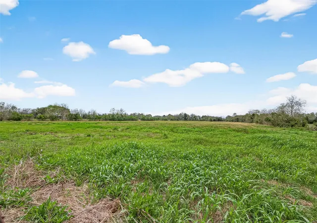 36th image of 10234 Oberrender Rd, Needville, TX 77461 | MLS# 67880181