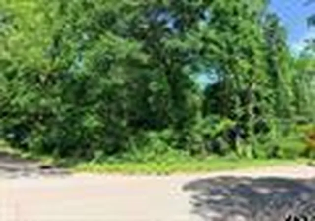 Homes for sale in Tyler, TX | 1023 S Peach Ave, Tyler, TX 75701 | MLS# 32555207