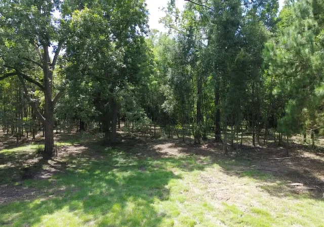 Photo 4 of Land for sale at 2865 Delaware St, Beaumont, TX 77703 | MLS# 34135603 | Listing updated on 2026-07-07