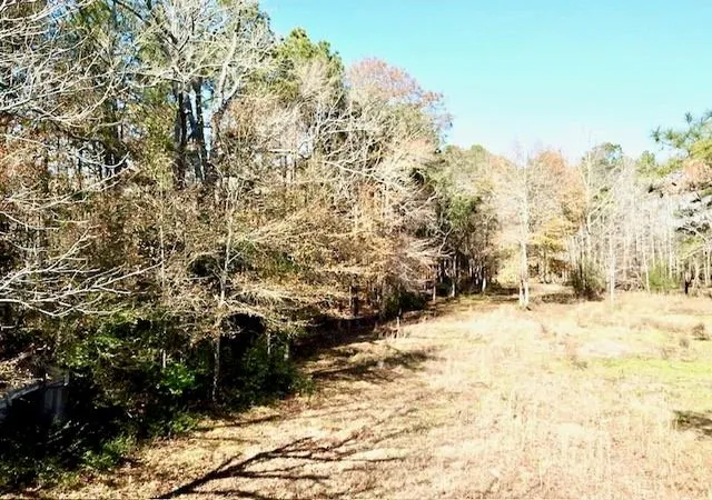 Photo 3 of Land for sale at Tbd Cr 2222 Cobb Mill Road, Woodville, TX 75979 | MLS# 11450183 | Listing updated on 2026-06-14