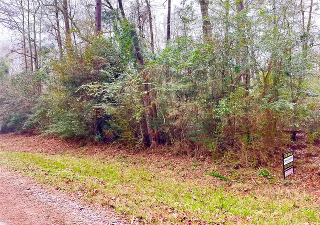 3rd image of Tbd Pine Valley Dr, Shepherd, TX 77371 | MLS# 70630108