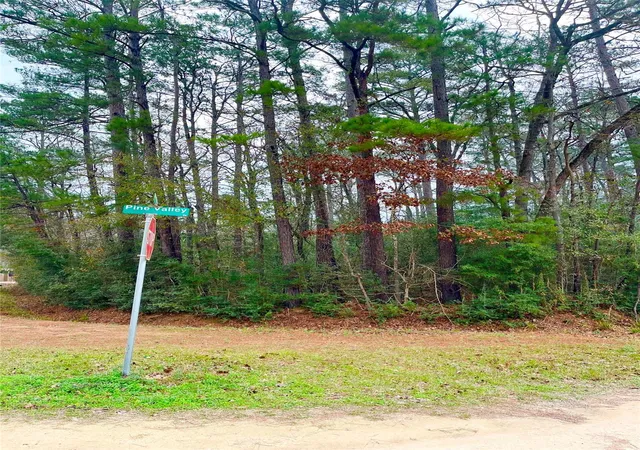 4th image of Tbd Pine Valley Dr, Shepherd, TX 77371 | MLS# 70630108