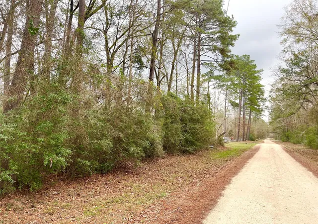 5th image of Tbd Pine Valley Dr, Shepherd, TX 77371 | MLS# 70630108