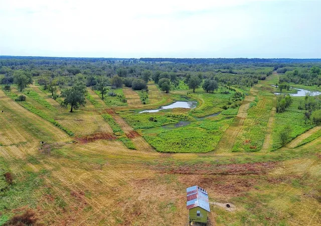 Photo 2 of Land for sale at Tbd Cr 155, Centerville, TX 75833 | MLS# 56183241 | Listing updated on 2026-05-11
