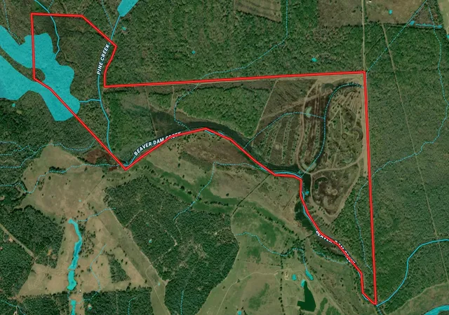 Photo 50 of Land for sale at Tbd Cr 155, Centerville, TX 75833 | MLS# 56183241 | Listing updated on 2026-05-11