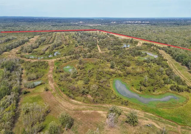Photo 4 of Land for sale at Tbd Cr 155, Centerville, TX 75833 | MLS# 56183241 | Listing updated on 2026-05-11