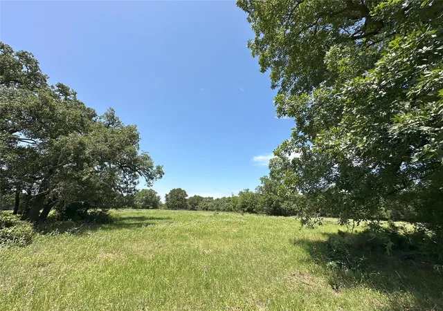 Photo 1 of Land for sale at 8110 North Hwy 77, Lexington, TX 78947 | MLS# 42832016 | Listing updated on 2026-05-21