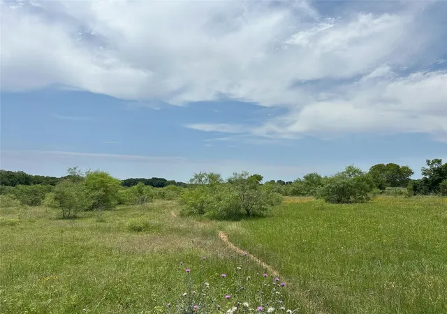 Photo 3 of Land for sale at 8110 North Hwy 77, Lexington, TX 78947 | MLS# 42832016 | Listing updated on 2026-05-21