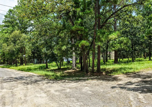 Photo 4 of Land for sale at 383 Post Oak Cir, Trinity, TX 75862 | MLS# 59909514 | Listing updated on 2026-08-24