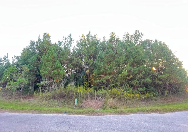 Photo 1 of Land for sale at 0 Road 3413, Cleveland, TX 77327 | MLS# 61704563 | Listing updated on 2026-06-19