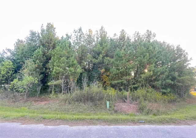 Photo 2 of Land for sale at 0 Road 3413, Cleveland, TX 77327 | MLS# 61704563 | Listing updated on 2026-06-19