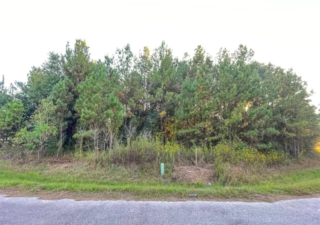 Photo 3 of Land for sale at 0 Road 3413, Cleveland, TX 77327 | MLS# 61704563 | Listing updated on 2026-06-19
