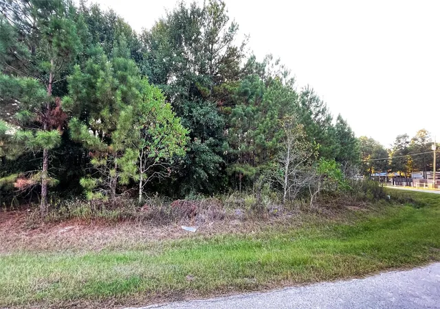 Photo 3 of Land for sale at 0 Road 3413, Cleveland, TX 77327 | MLS# 61704563 | Listing updated on 2026-06-19