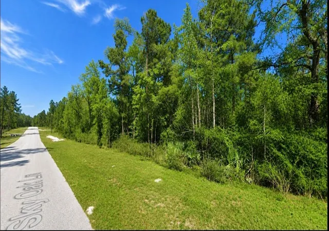 Photo 3 of Land for sale at 238 Sky Oak Ln, Huntsville, TX 77340 | MLS# 14553707 | Listing updated on 2026-09-14