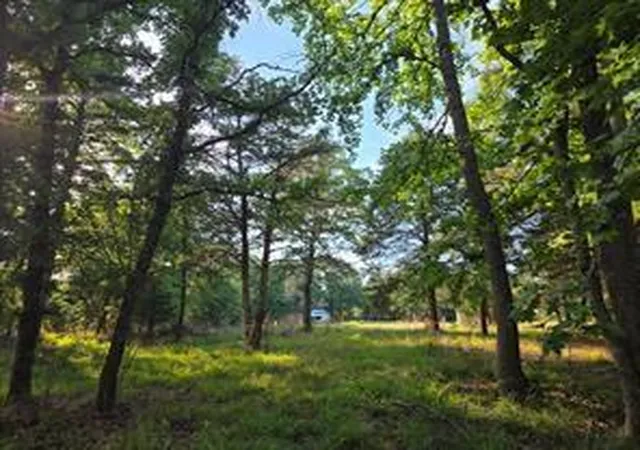Photo 2 of Land for sale at 0 Timber Ridge, Larue, TX 75770 | MLS# 25979161 | Listing updated on 2026-06-27