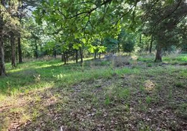 Photo 2 of Land for sale at 0 Timber Ridge, Larue, TX 75770 | MLS# 25979161 | Listing updated on 2026-06-27