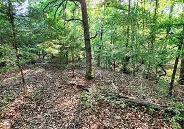 Photo 3 of Land for sale at 0 Timber Ridge, Larue, TX 75770 | MLS# 25979161 | Listing updated on 2026-06-27