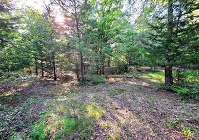 Photo 4 of Land for sale at 0 Timber Ridge, Larue, TX 75770 | MLS# 25979161 | Listing updated on 2026-06-27