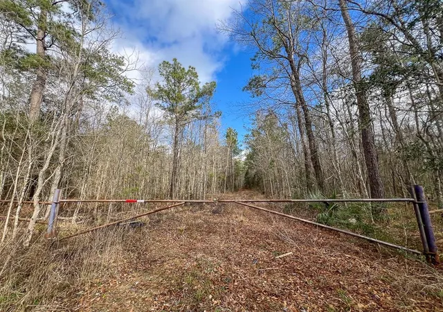 Photo 2 of Land for sale at 0 Hwy 12/ Linscomb Road, Vidor, TX 77662 | MLS# 24059808 | Listing updated on 2026-01-27