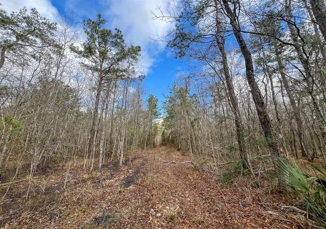 Photo 3 of Land for sale at 0 Hwy 12/ Linscomb Road, Vidor, TX 77662 | MLS# 24059808 | Listing updated on 2026-01-27