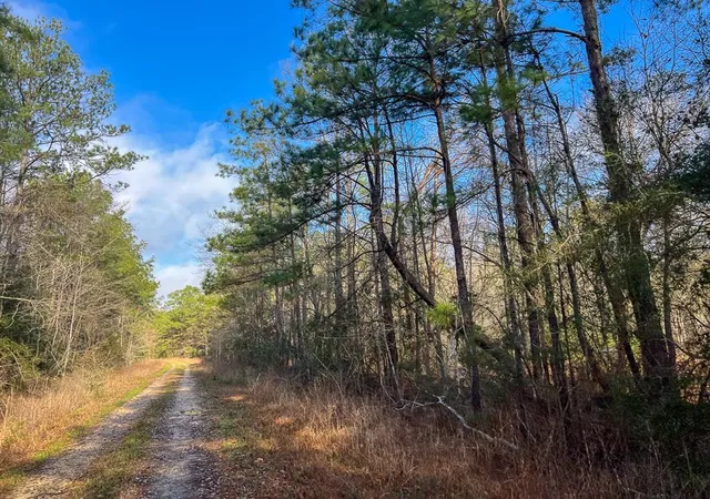 Photo 3 of Land for sale at 0 Hwy 12/ Linscomb Road, Vidor, TX 77662 | MLS# 24059808 | Listing updated on 2026-01-27
