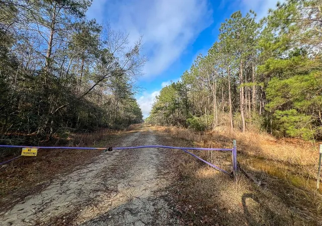 Photo 4 of Land for sale at 0 Hwy 12/ Linscomb Road, Vidor, TX 77662 | MLS# 24059808 | Listing updated on 2026-01-27