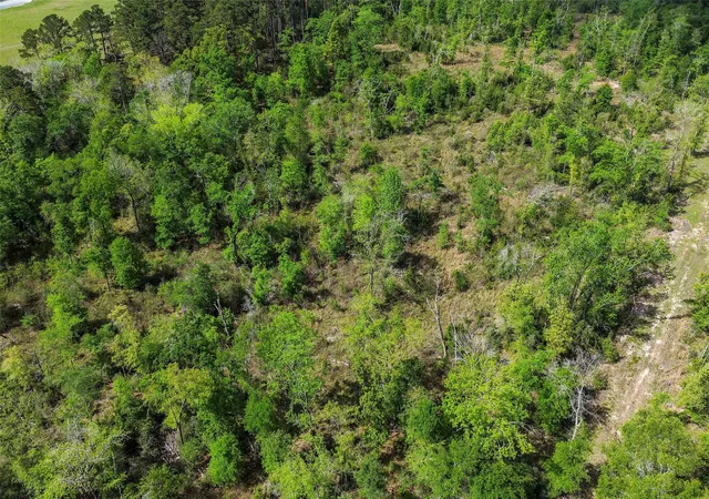 14th image of 173 Townley Ranch Dr, Huntsville, TX 77320 | MLS# 87911925