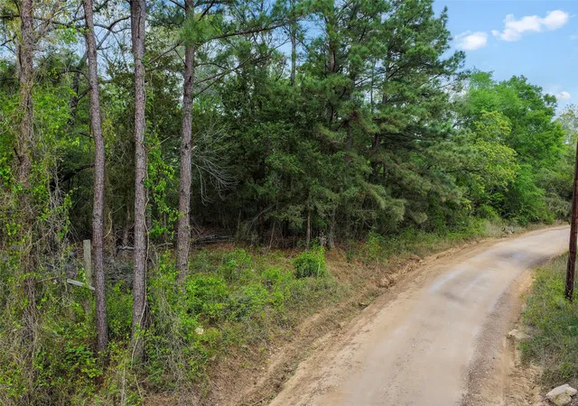 1st image of 173 Townley Ranch Dr, Huntsville, TX 77320 | MLS# 87911925