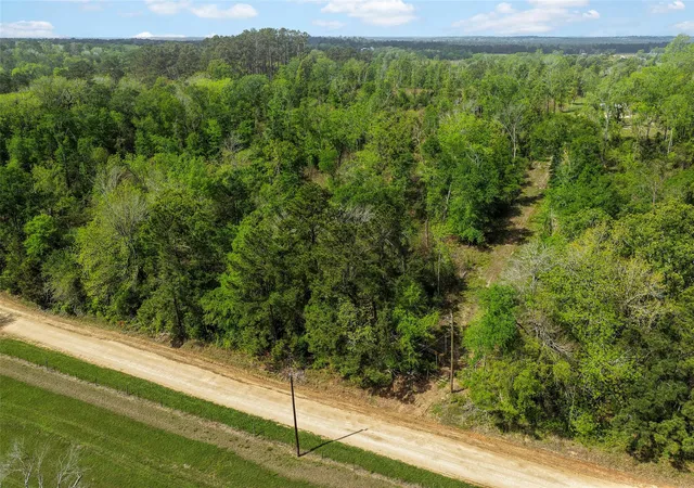 2nd image of 173 Townley Ranch Dr, Huntsville, TX 77320 | MLS# 87911925