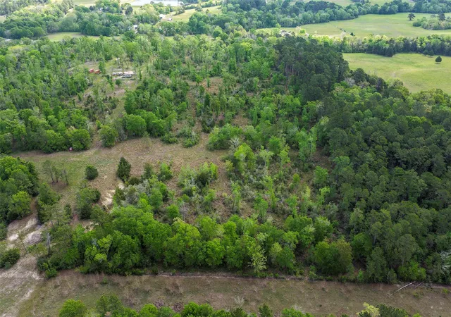 4th image of 173 Townley Ranch Dr, Huntsville, TX 77320 | MLS# 87911925