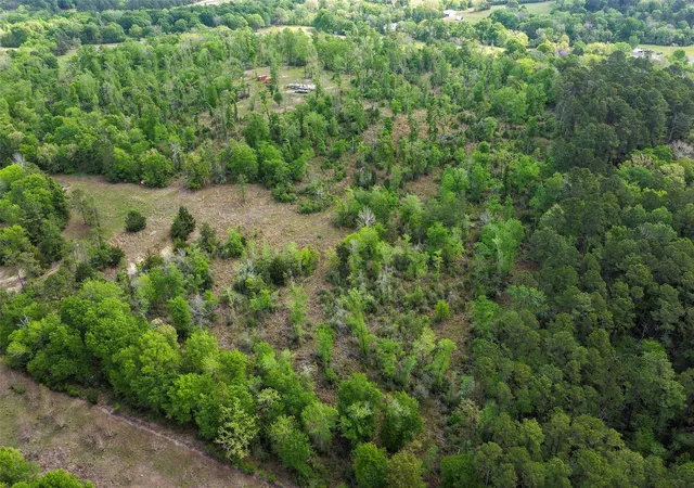 5th image of 173 Townley Ranch Dr, Huntsville, TX 77320 | MLS# 87911925