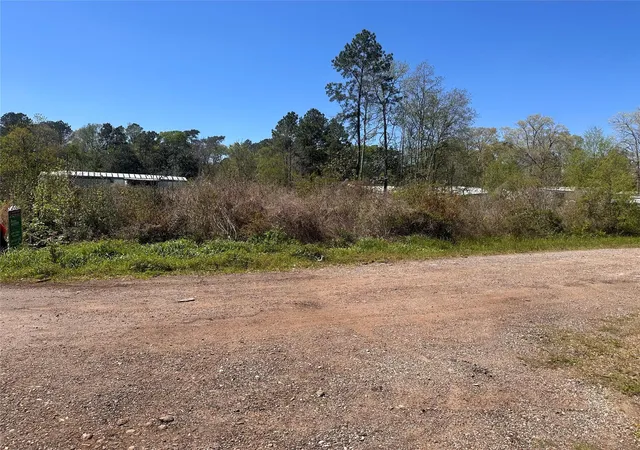 10th image of 0 Dottie Ln, Shepherd, TX 77371 | MLS# 86609079