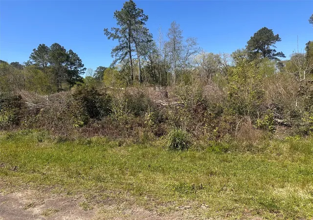 1st image of 0 Dottie Ln, Shepherd, TX 77371 | MLS# 86609079
