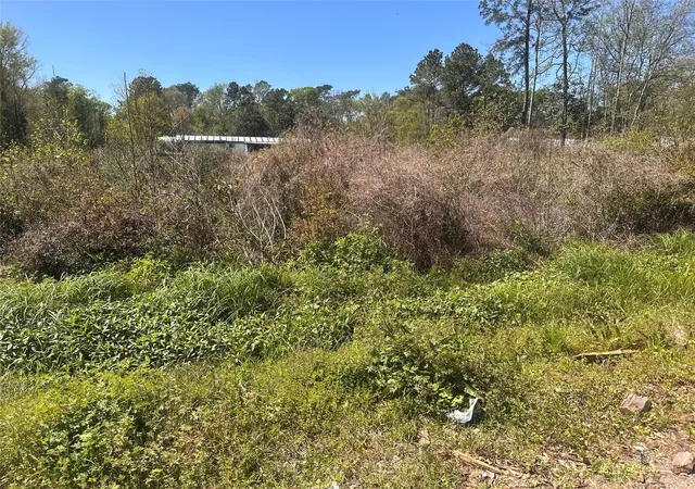 2nd image of 0 Dottie Ln, Shepherd, TX 77371 | MLS# 86609079