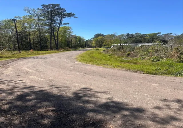 Photo 3 of Land for sale at 0 Dottie Ln, Shepherd, TX 77371 | MLS# 86609079 | Listing updated on 2026-03-23