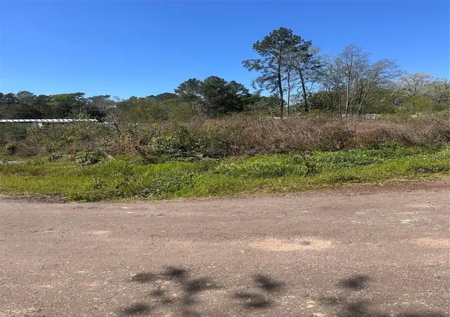 Photo 4 of Land for sale at 0 Dottie Ln, Shepherd, TX 77371 | MLS# 86609079 | Listing updated on 2026-03-23