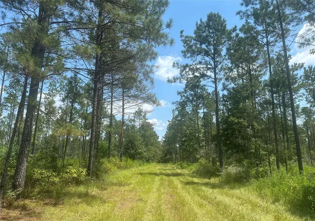 1st image of Tbd Fm 1005, Jasper, TX 75951 | MLS# 19076219