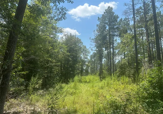 2nd image of Tbd Fm 1005, Jasper, TX 75951 | MLS# 19076219