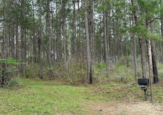 Photo 3 of Land for sale at Tbd Fm 1005, Jasper, TX 75951 | MLS# 19076219 | Listing updated on 2026-05-08